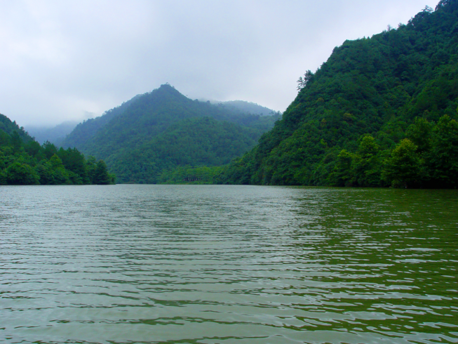 5ef0615a56281.png 5ef0615a56281.png