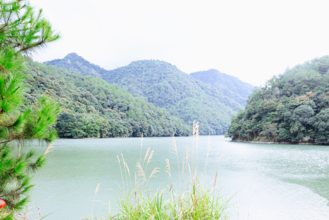 5ef061972206e.png 5ef061972206e.png