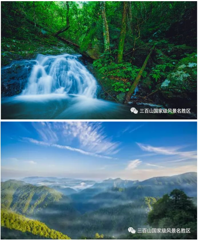 5ef166db8818b.png 5ef166db8818b.png