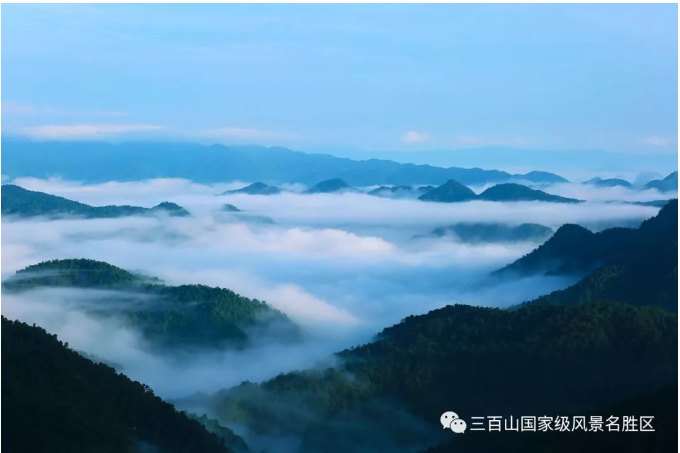 5ef166f1cccd6.png 5ef166f1cccd6.png