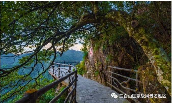 5ef167071df72.png 5ef167071df72.png