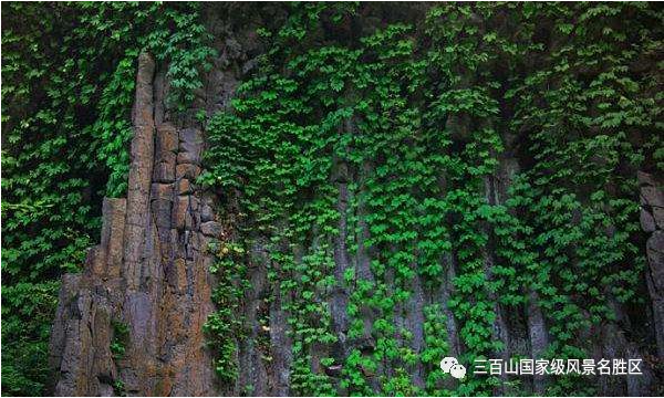 5ef167171cd42.png 5ef167171cd42.png