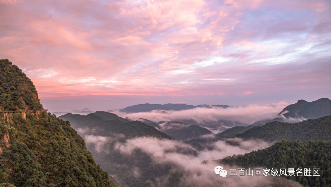 5f9bb6bb3f8d4.png 5f9bb6bb3f8d4.png