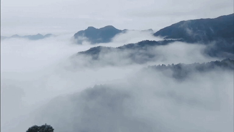 60442b08351f7.gif 60442b08351f7.gif