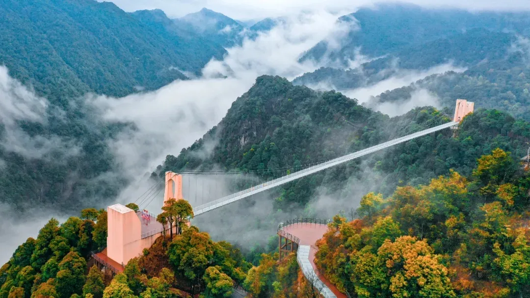 60442b558604c.png 60442b558604c.png