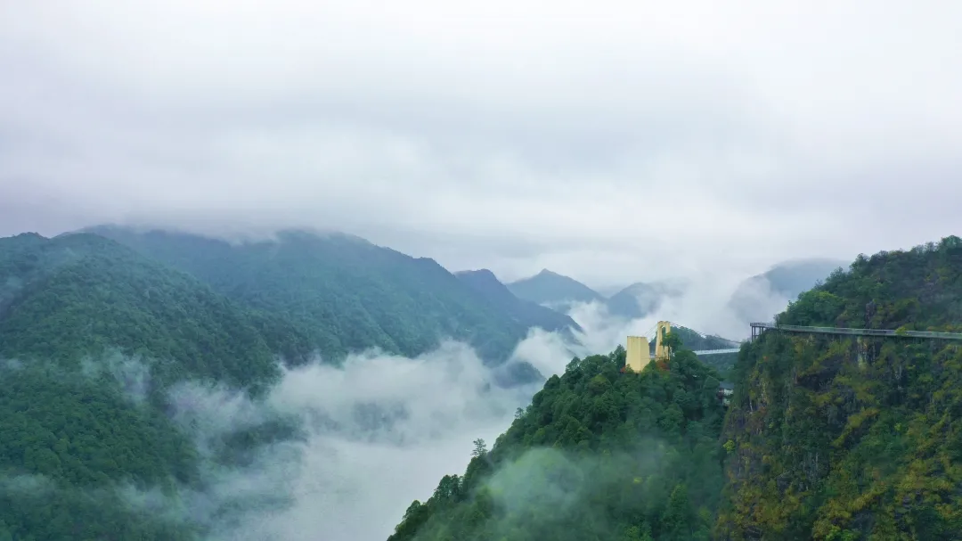 60442b702cd80.png 60442b702cd80.png