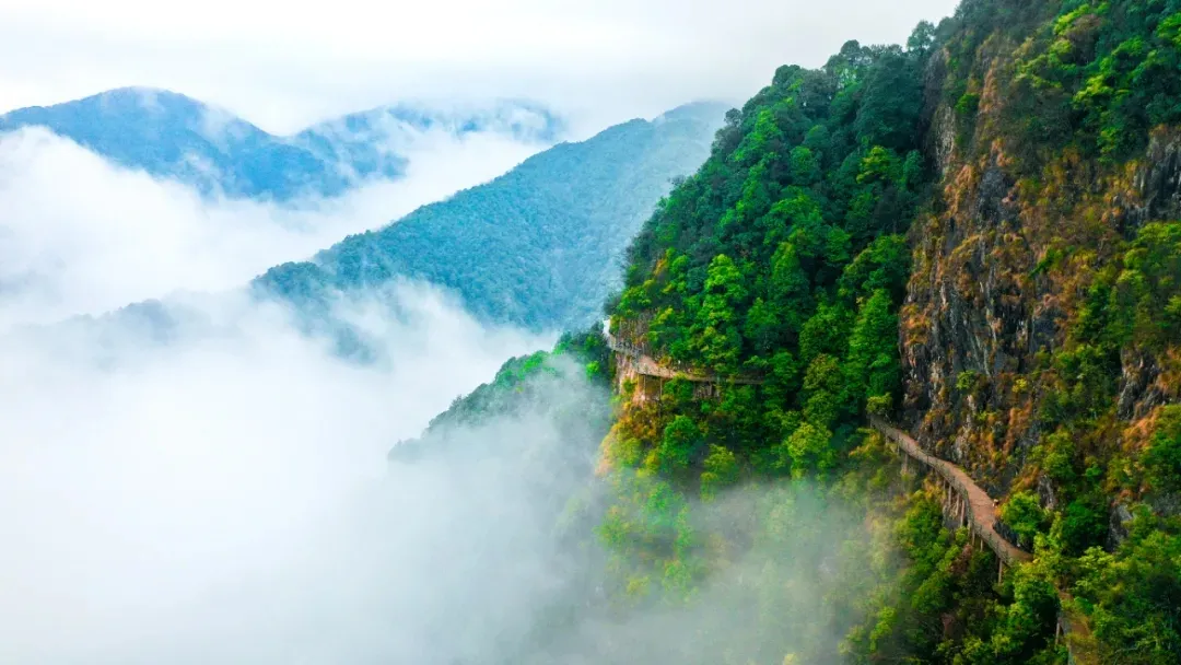 60442bb609bd5.png 60442bb609bd5.png