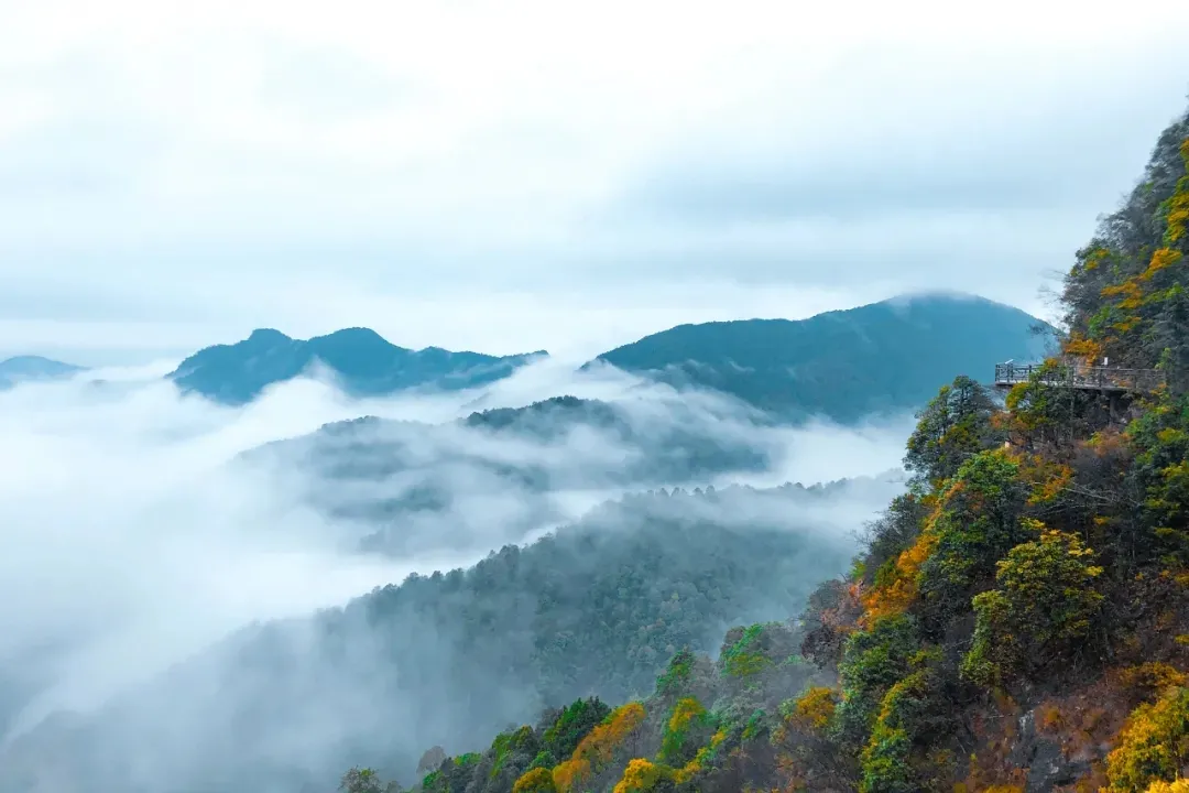 60442bdbd6f3c.png 60442bdbd6f3c.png