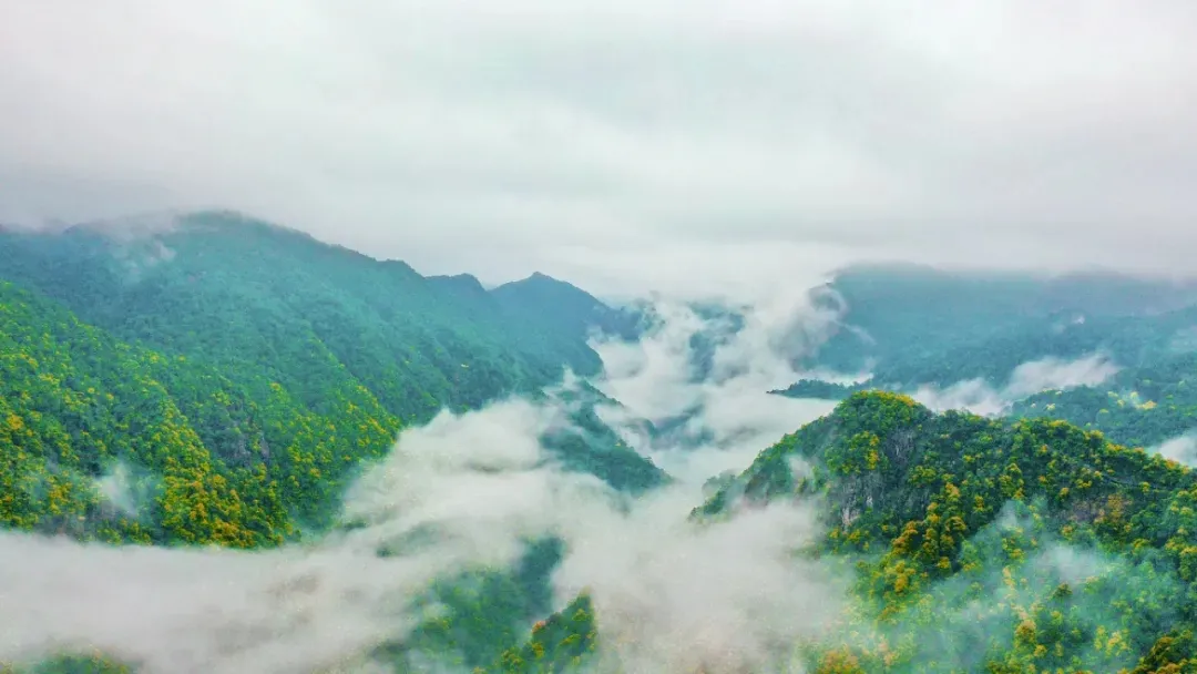 60442c0961d7b.png 60442c0961d7b.png