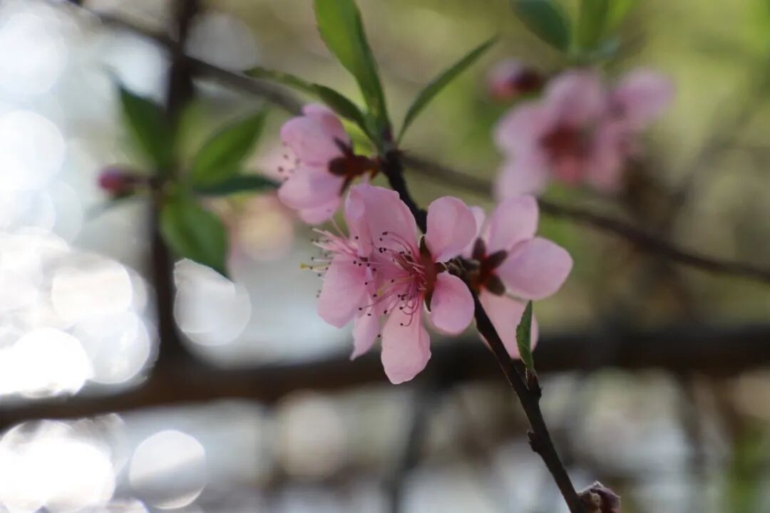 6062e109d9904.jpg 6062e109d9904.jpg