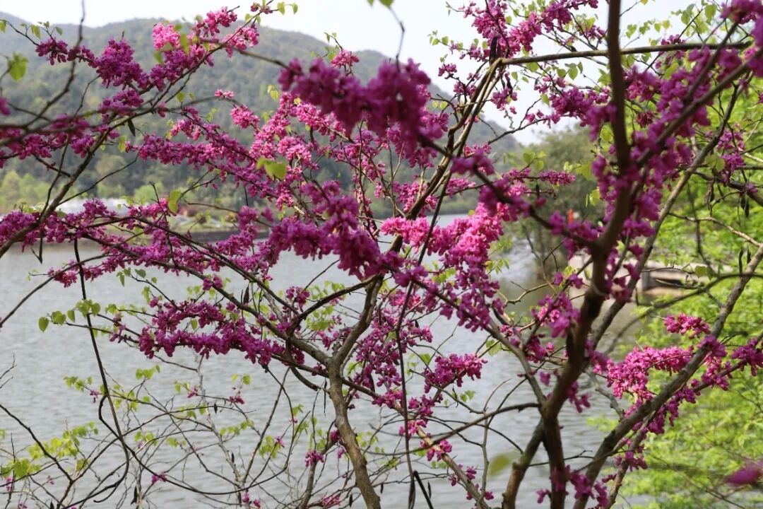 6062e125cb83b.jpg 6062e125cb83b.jpg