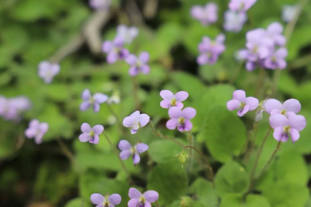 6062e16e38c8b.jpg 6062e16e38c8b.jpg