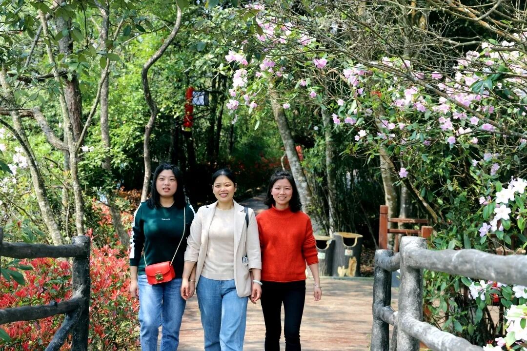 6062e21252782.jpg 6062e21252782.jpg