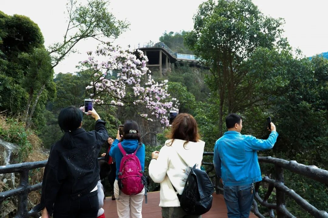 6062e2870ae73.jpg 6062e2870ae73.jpg