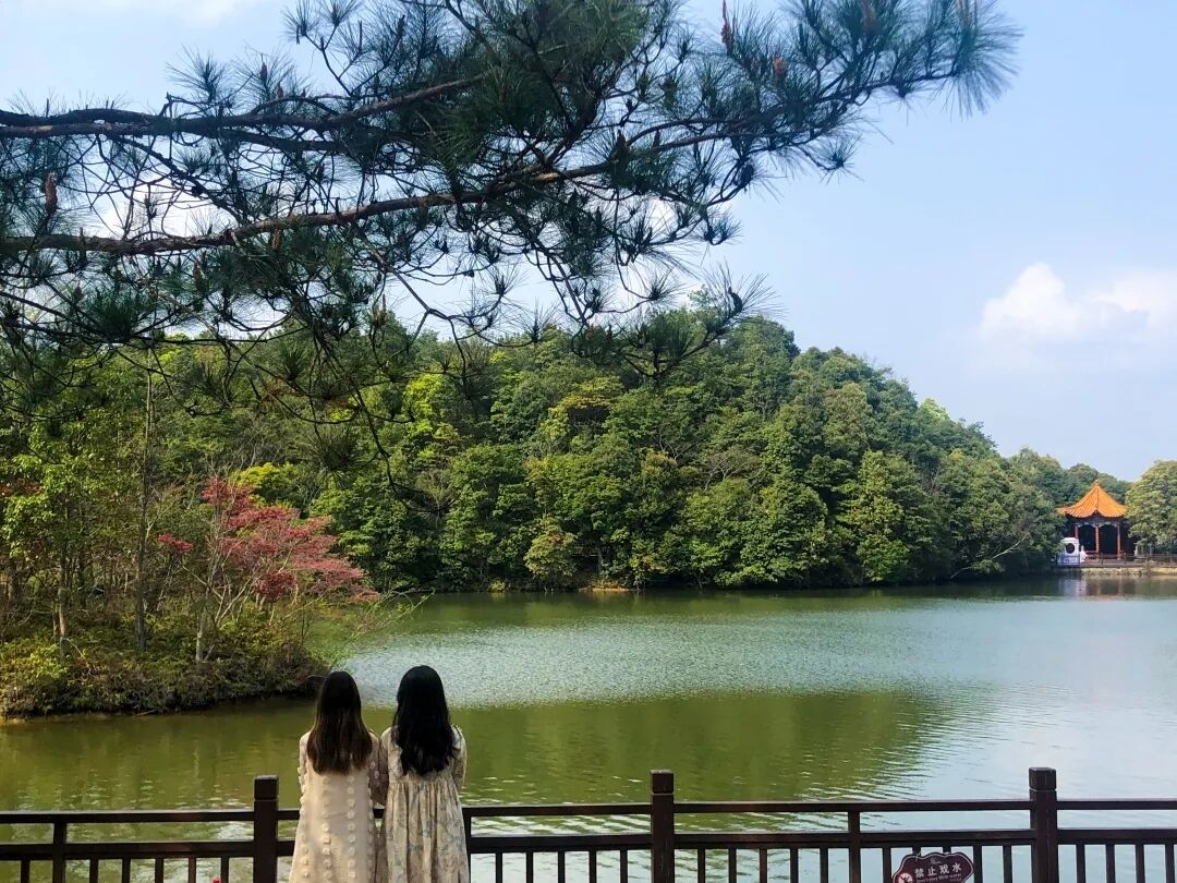 6062e2a6612bf.jpg 6062e2a6612bf.jpg