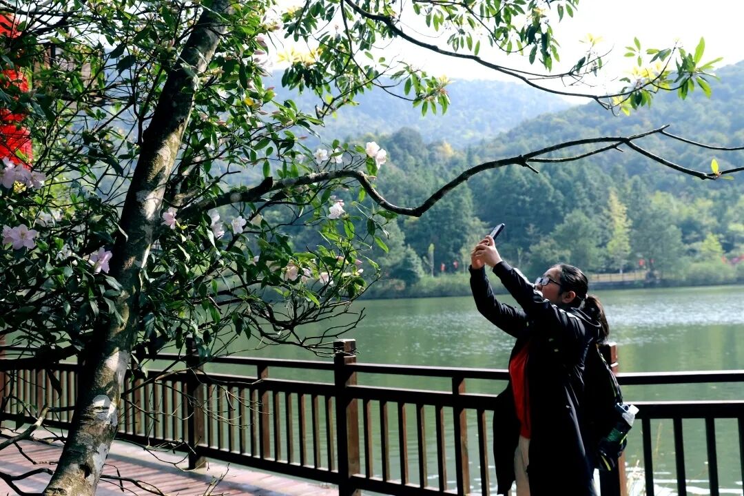 6062e2e8e28fe.jpg 6062e2e8e28fe.jpg