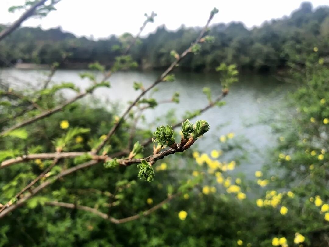 6062e303ba893.jpg 6062e303ba893.jpg