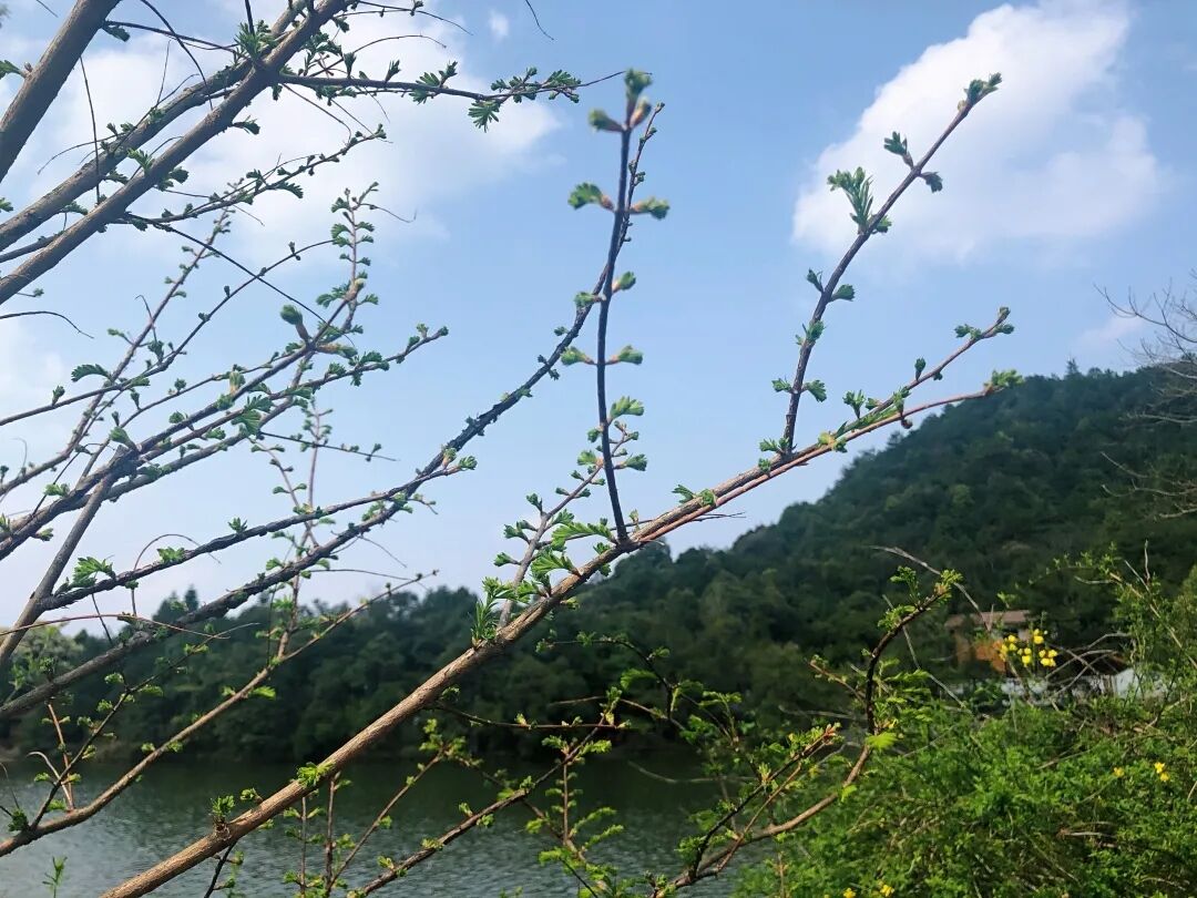 6062e310623ba.jpg 6062e310623ba.jpg