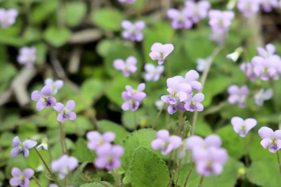 6062e3302a4f0.jpg 6062e3302a4f0.jpg