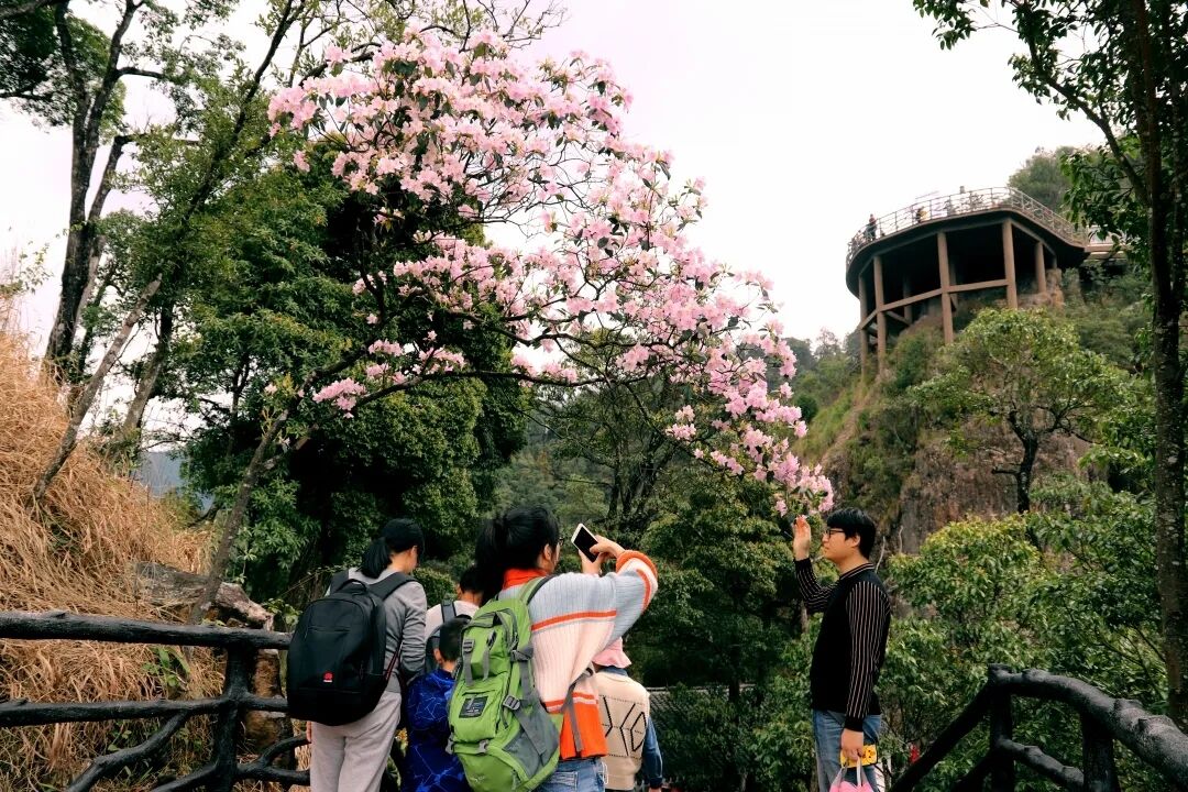 6062e34aa6a67.jpg 6062e34aa6a67.jpg