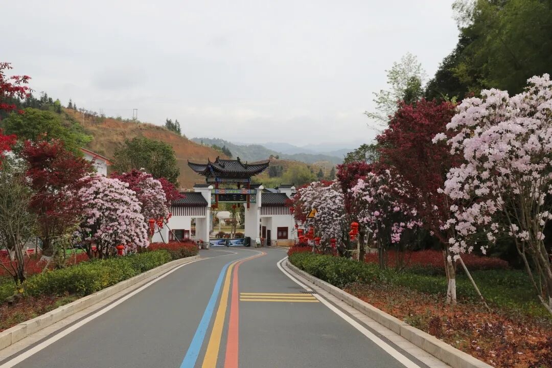 6062e356b1264.jpg 6062e356b1264.jpg