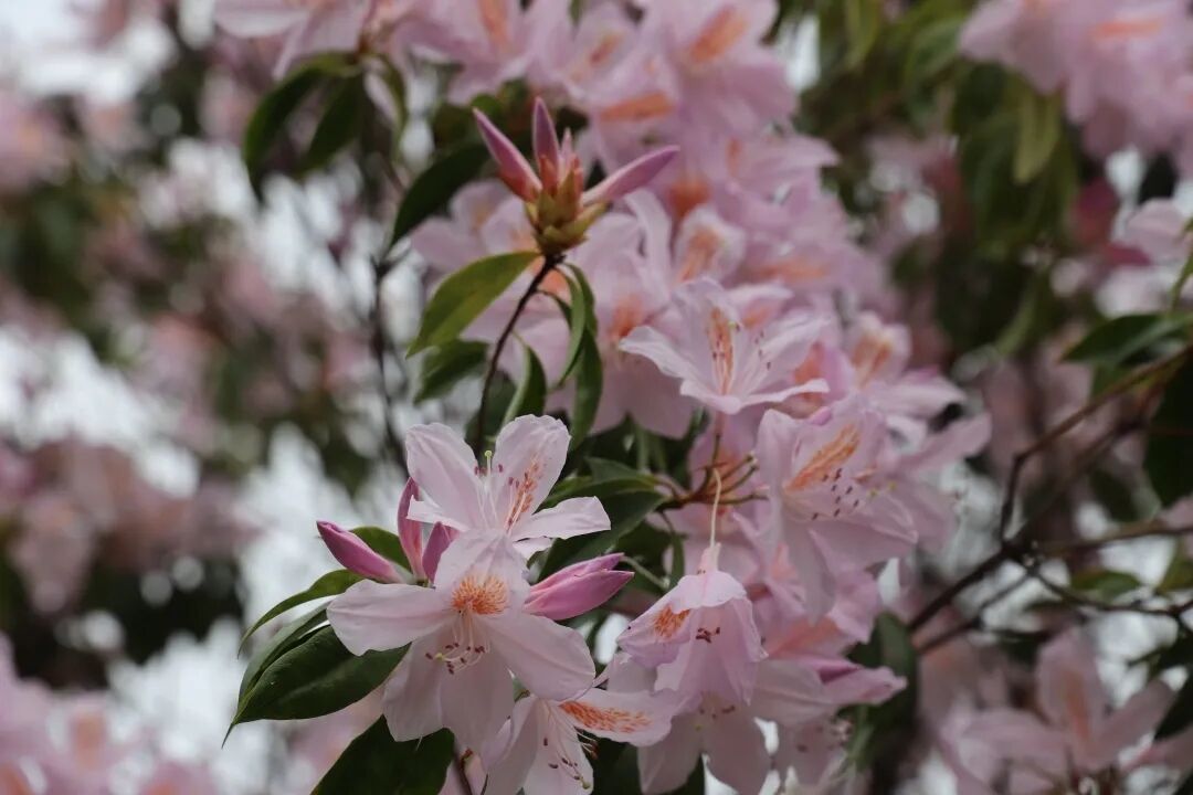 6062e362dacf6.jpg 6062e362dacf6.jpg