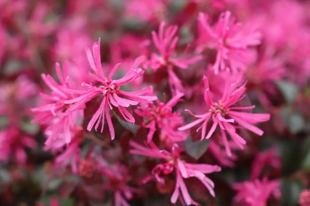 6062e36cb2dba.jpg 6062e36cb2dba.jpg