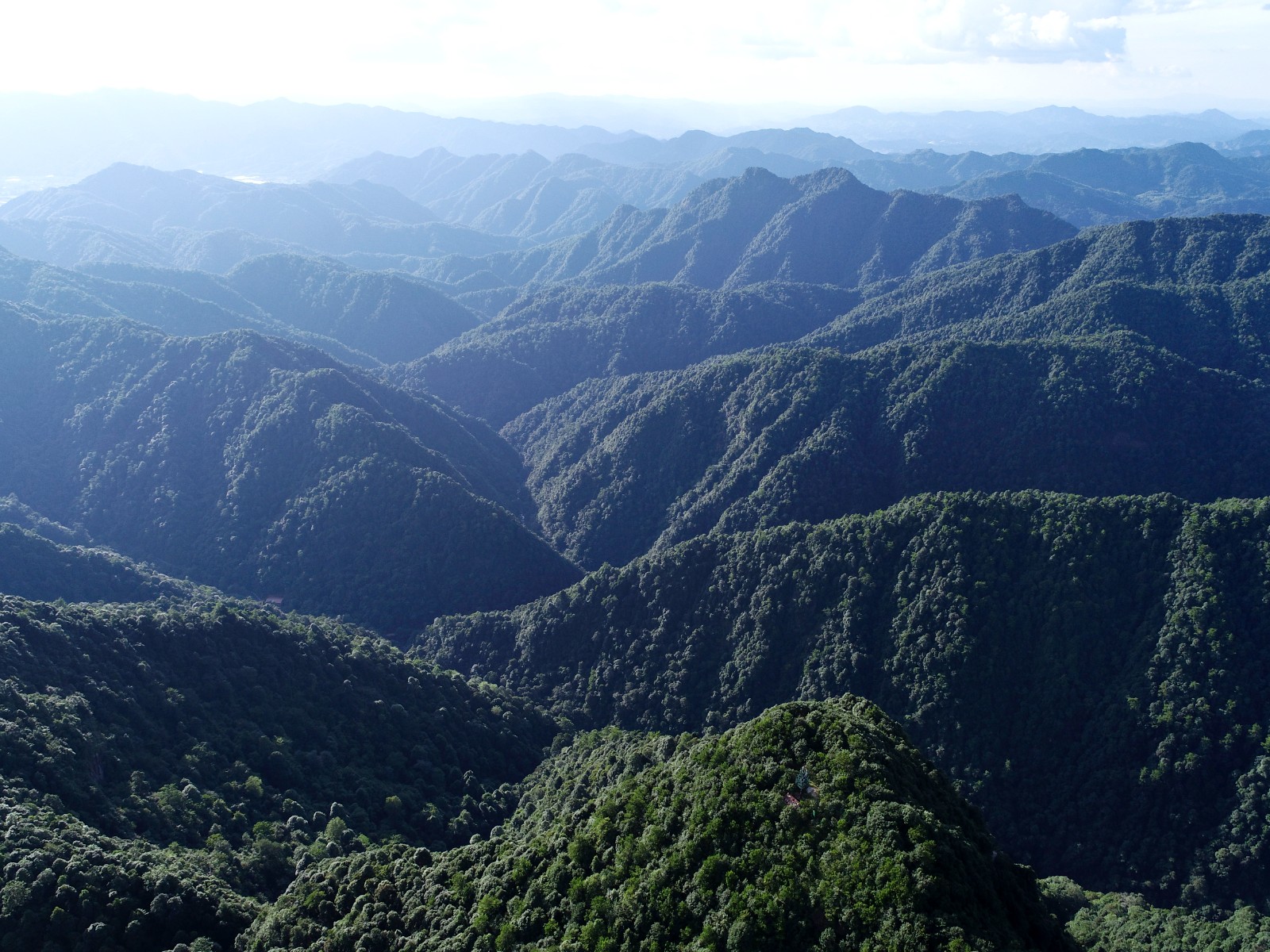 6110e7ff95783.jpg 6110e7ff95783.jpg