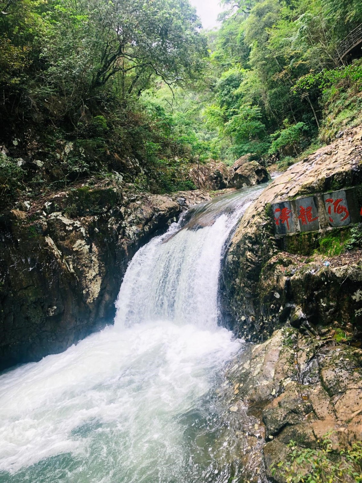 6110e9e641199.jpg 6110e9e641199.jpg