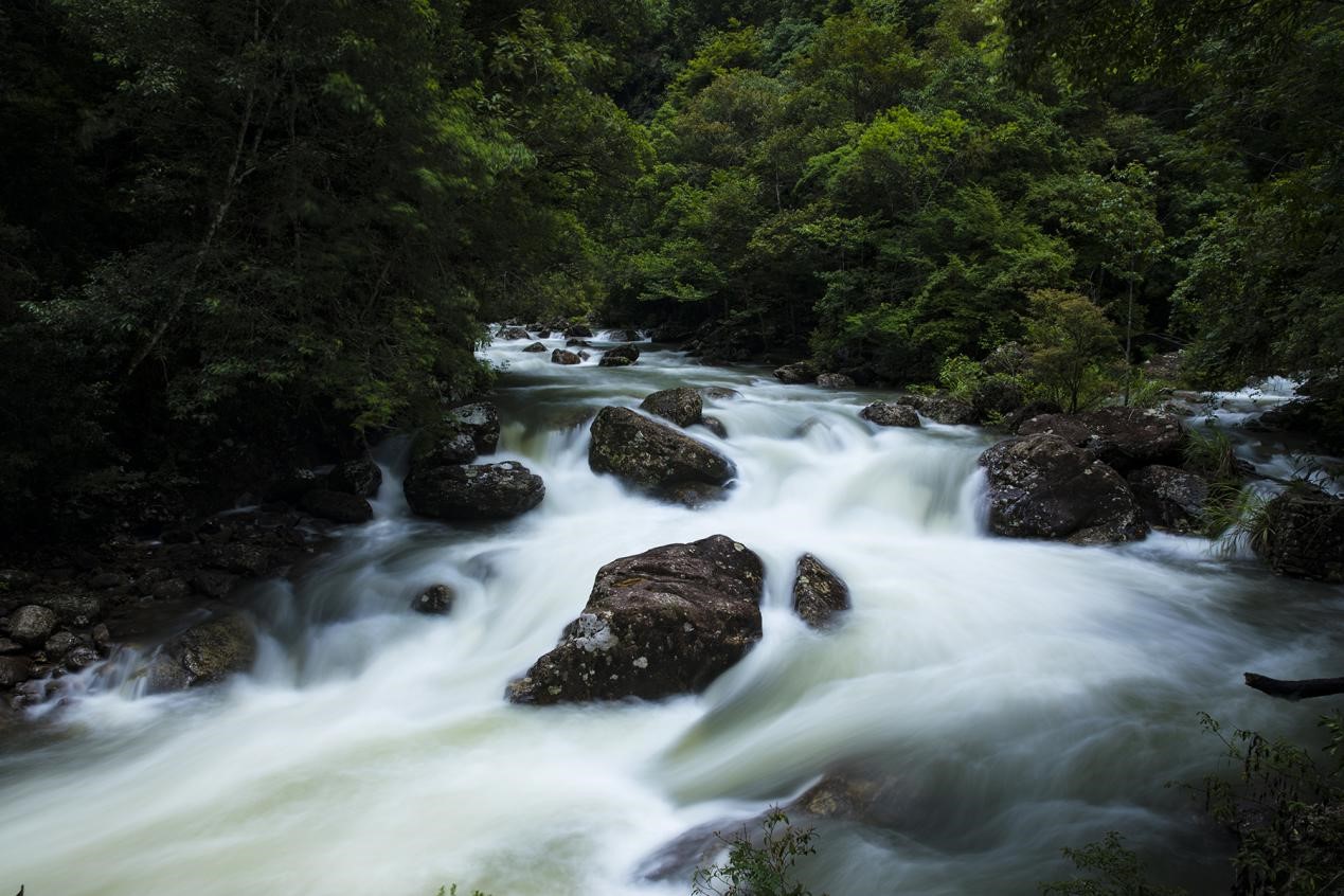 6110ea3684742.jpg 6110ea3684742.jpg