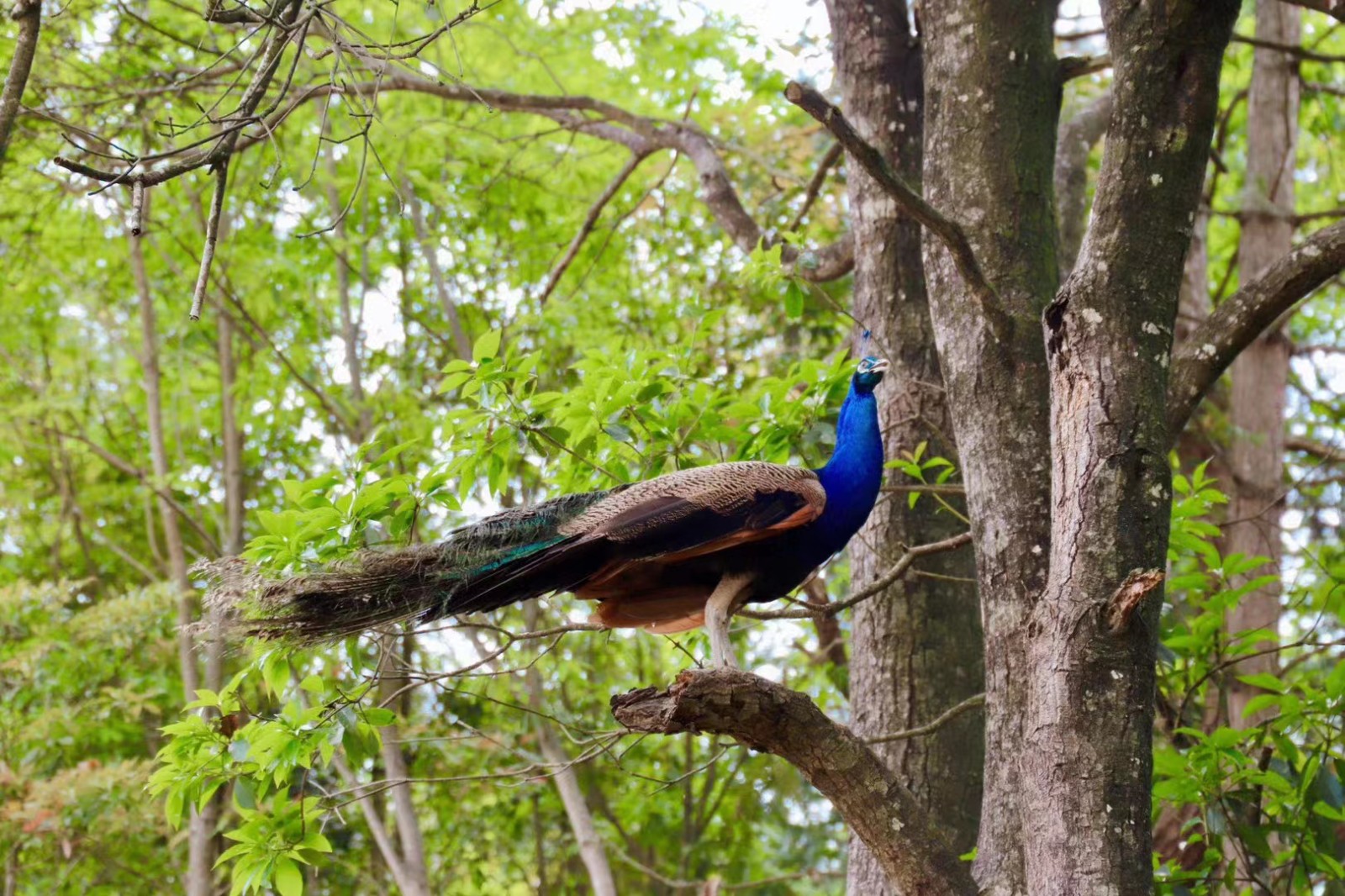 6185f91fa4005.jpg 6185f91fa4005.jpg