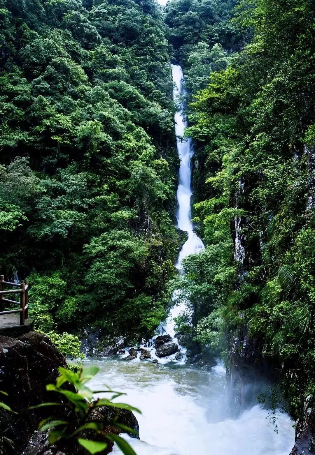 64ceeb2a91cb0.jpg 64ceeb2a91cb0.jpg