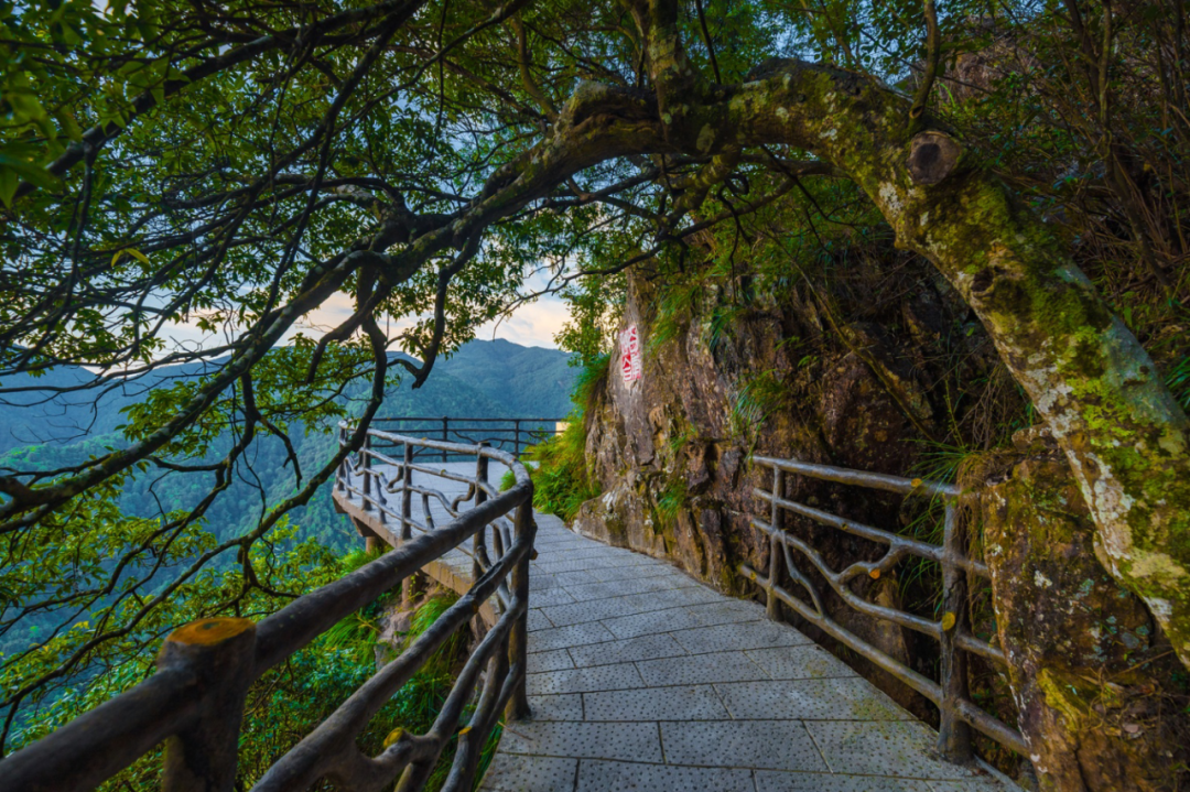 64ceeb39dfcae.png 64ceeb39dfcae.png