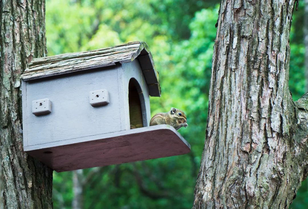 64ceeb45e470b.jpg 64ceeb45e470b.jpg