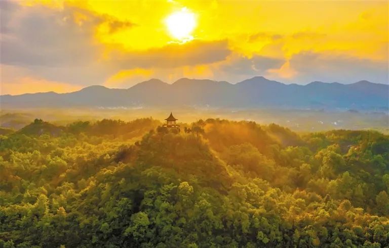 64cef6a0443ef.jpg 64cef6a0443ef.jpg