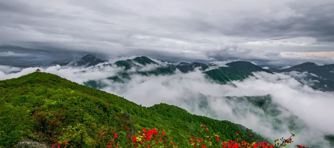 64cef6aa05319.jpg 64cef6aa05319.jpg