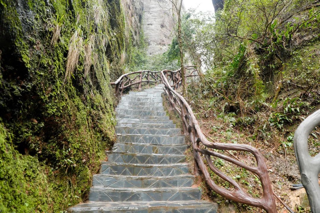 64cef6d301fa8.jpg 64cef6d301fa8.jpg