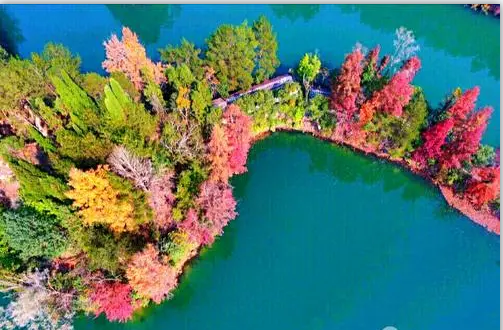 64cefe85ec9a8.png 64cefe85ec9a8.png