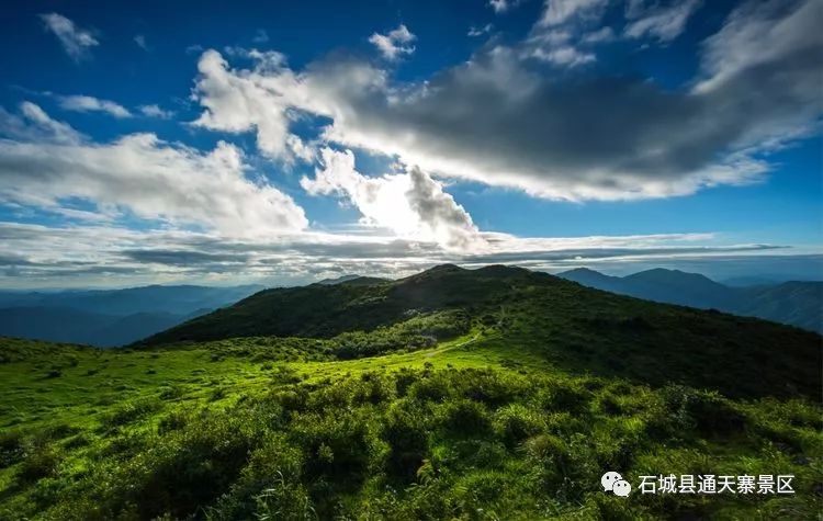 64cefefed1ddb.jpg 64cefefed1ddb.jpg