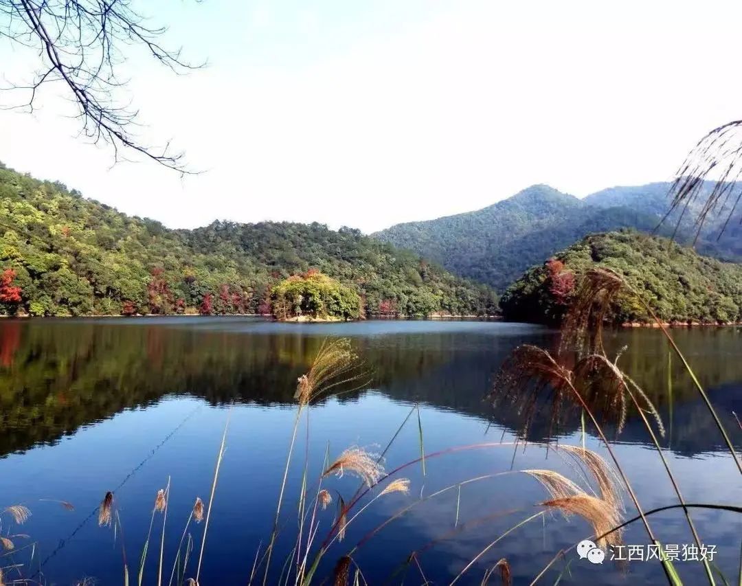 64ceff23af491.jpg 64ceff23af491.jpg