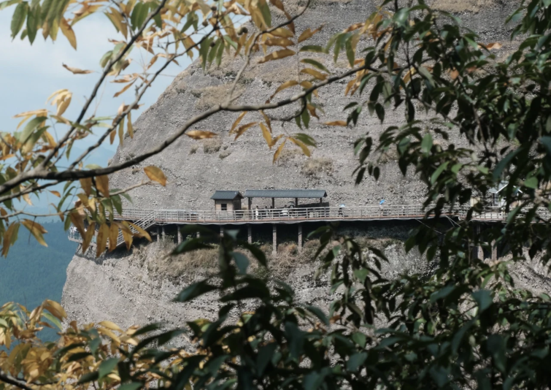 64ceff2e9da3c.png 64ceff2e9da3c.png