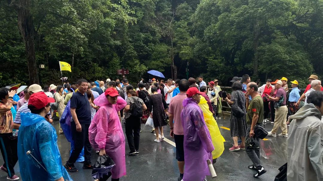 64d9c55ec82bd.jpg 64d9c55ec82bd.jpg