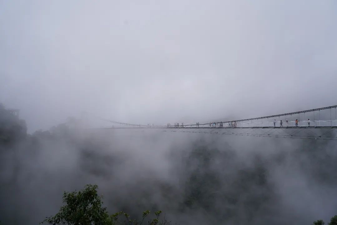 64d9c5dee5545.jpg 64d9c5dee5545.jpg