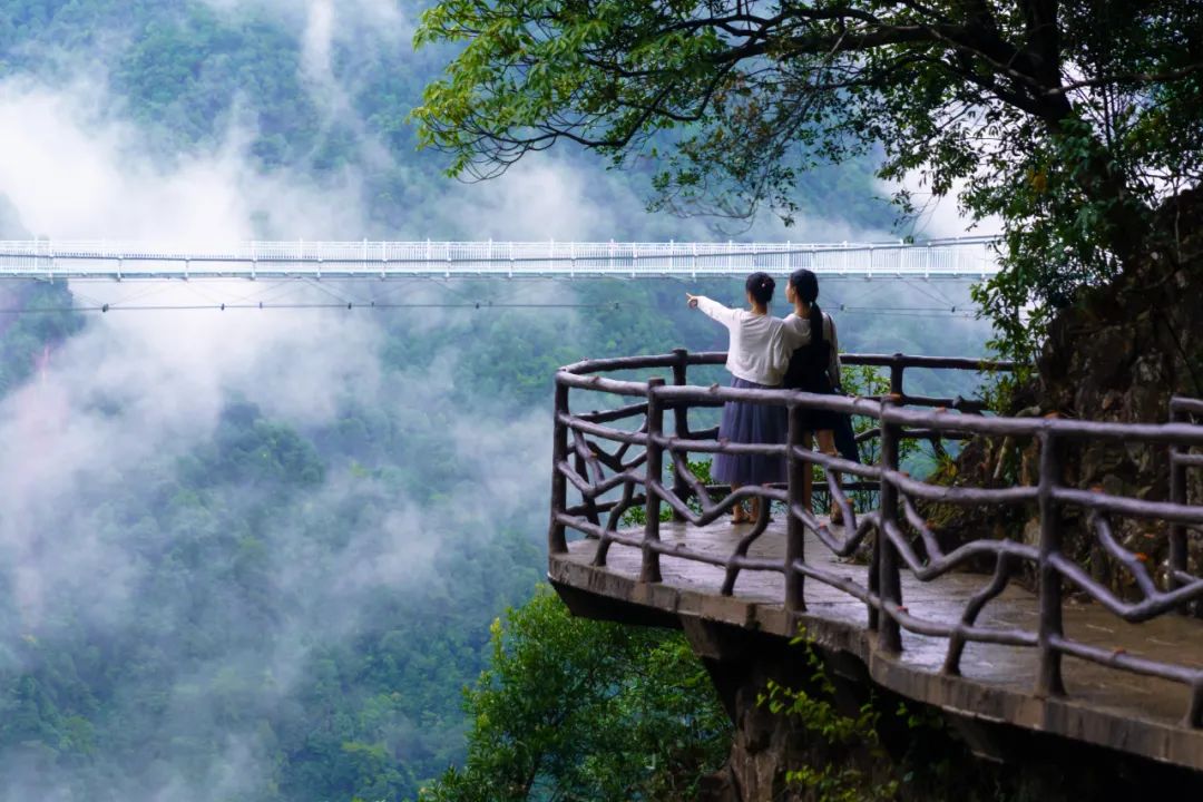 64d9c60d02a51.jpg 64d9c60d02a51.jpg