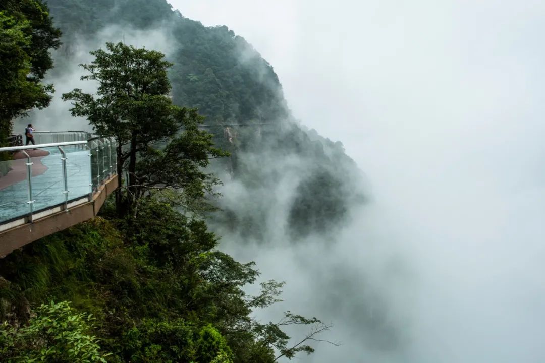 64d9c6171e111.jpg 64d9c6171e111.jpg