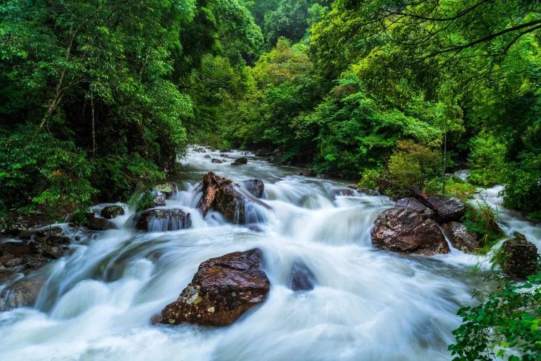 64d9c62a131a3.jpg 64d9c62a131a3.jpg