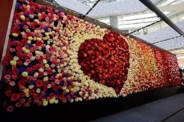 64e1a4cc1277c.jpg 64e1a4cc1277c.jpg