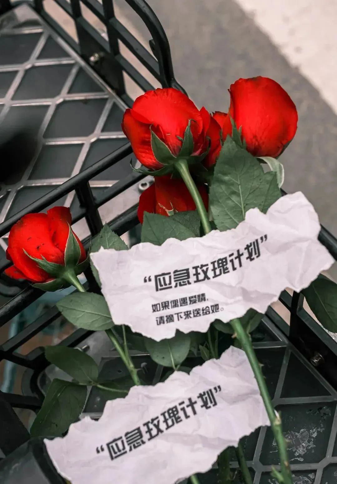 64e1a4f237287.jpg 64e1a4f237287.jpg