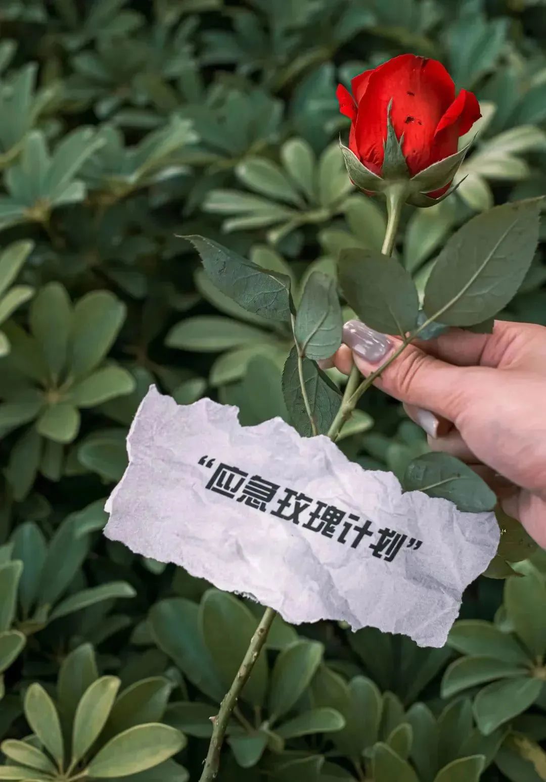 64e1b39c5684e.jpg 64e1b39c5684e.jpg