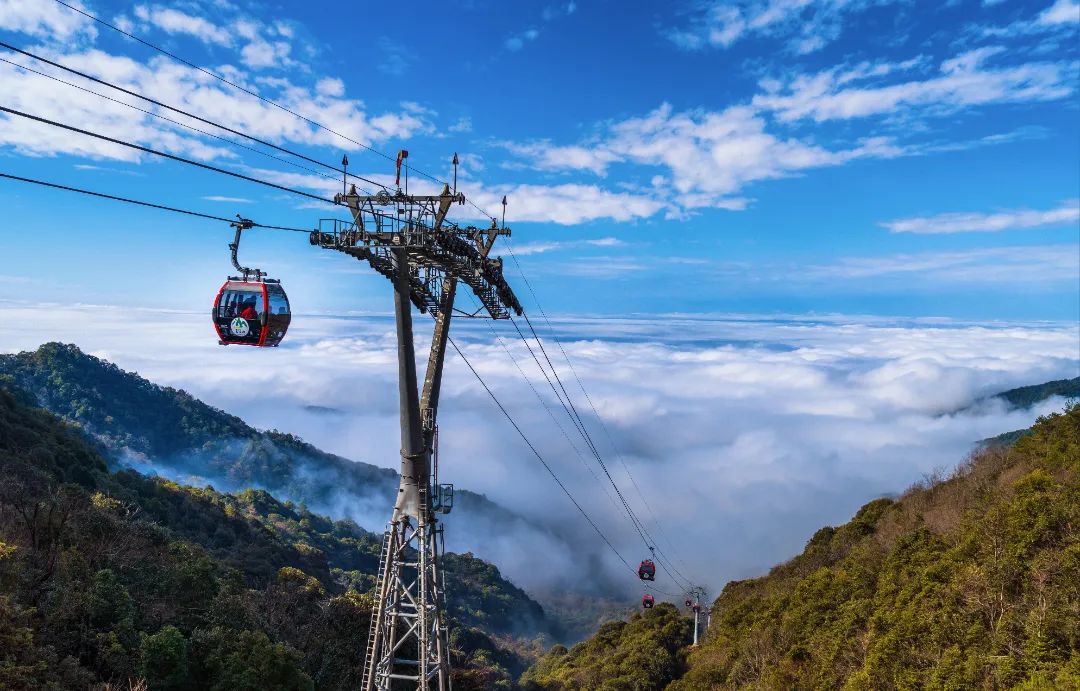 64ed6889068cb.jpg 64ed6889068cb.jpg